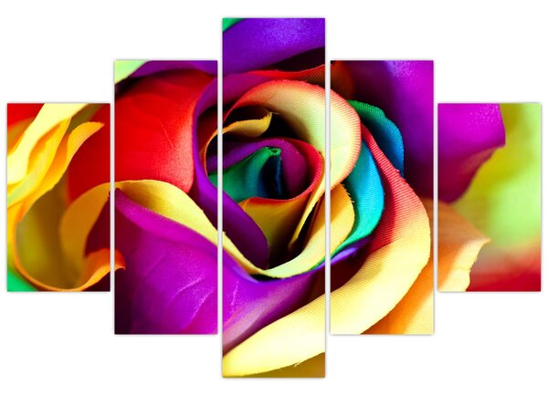 Kép - Színes rózsa (150x105 cm)