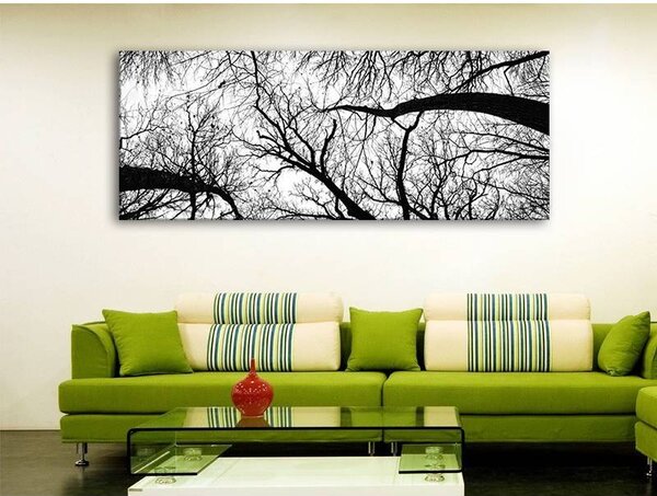 70x40 cm - Fák és liget fekete-fehér vászonkép