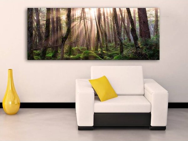 70x40 cm - Erdei fények vászonkép