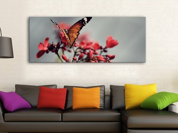 70x40 cm - Pillangó vászonkép