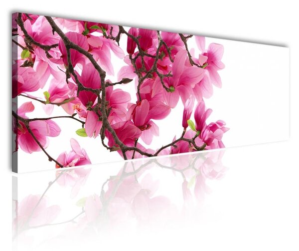 70x40 cm - Magnolia vászonkép