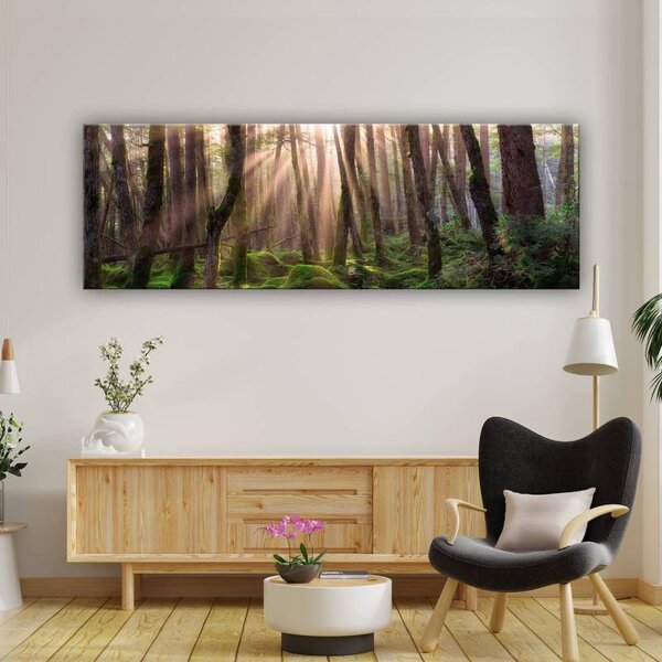 70x40 cm - Erdei fények vászonkép