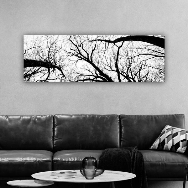 70x40 cm - Fák és liget fekete-fehér vászonkép