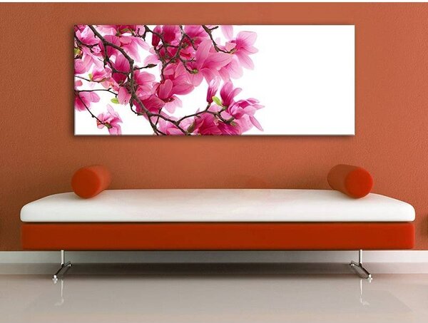 70x40 cm - Magnolia vászonkép