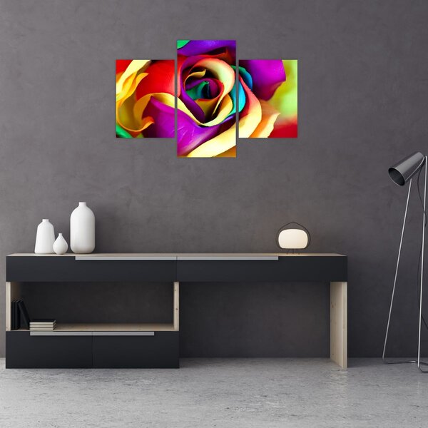 Kép - Színes rózsa (90x60 cm)