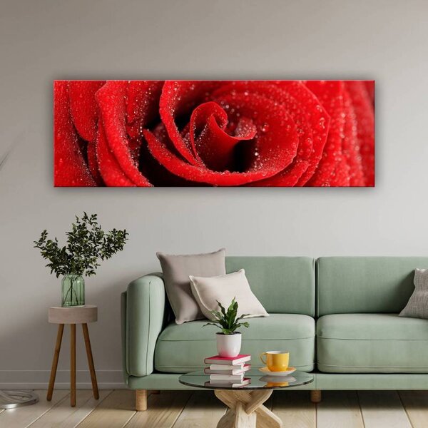 70x40 cm - Vörös rózsa vízcseppekkel vászonkép
