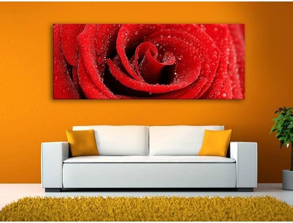 70x40 cm - Vörös rózsa vízcseppekkel vászonkép