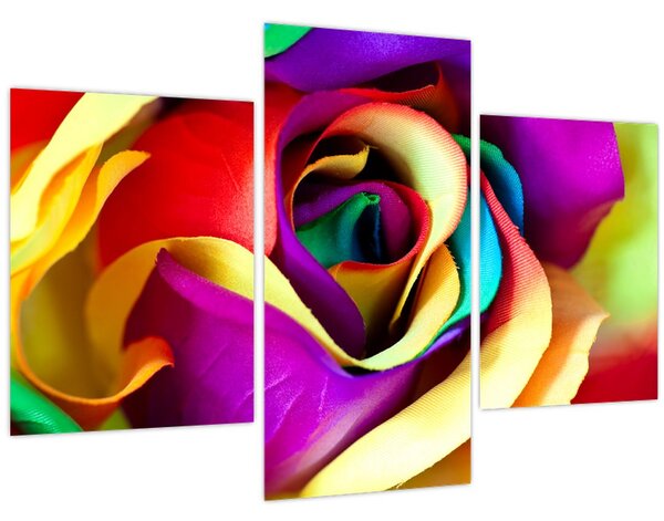 Kép - Színes rózsa (90x60 cm)