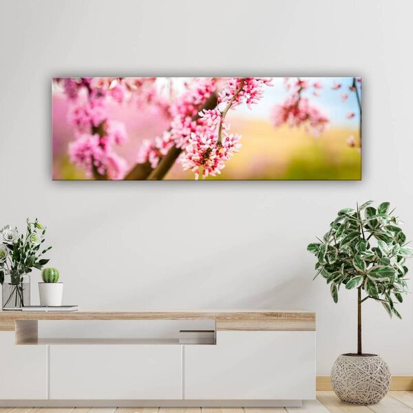 70x40 cm - Rózsaszín virágzás vászonkép