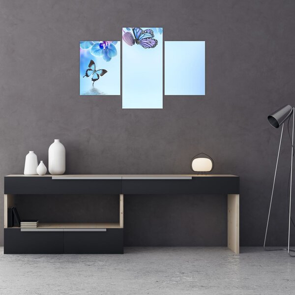 Kép - Pillangó orchidea virágon, kék (90x60 cm)