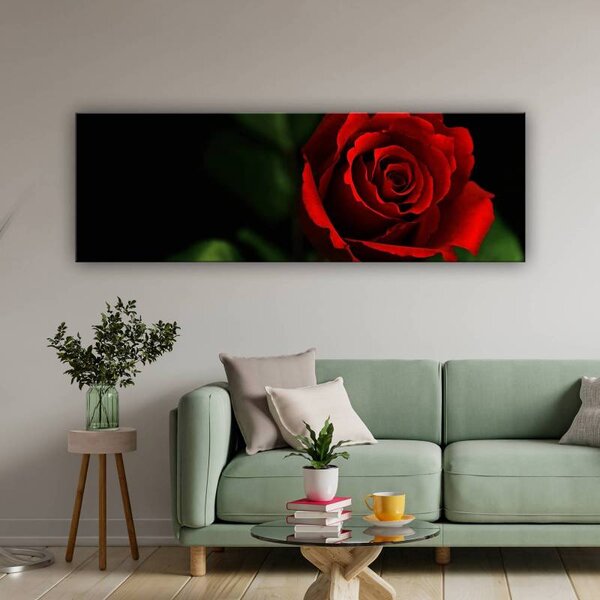 70x40 cm - Vörös és fekete vörös rózsa vászonkép