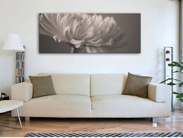 70x40 cm - Virágszirom fekete fehér vászonkép