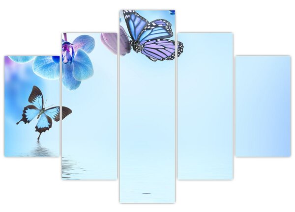 Kép - Pillangó orchidea virágon, kék (150x105 cm)