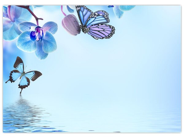 Kép - Pillangó orchidea virágon, kék (70x50 cm)