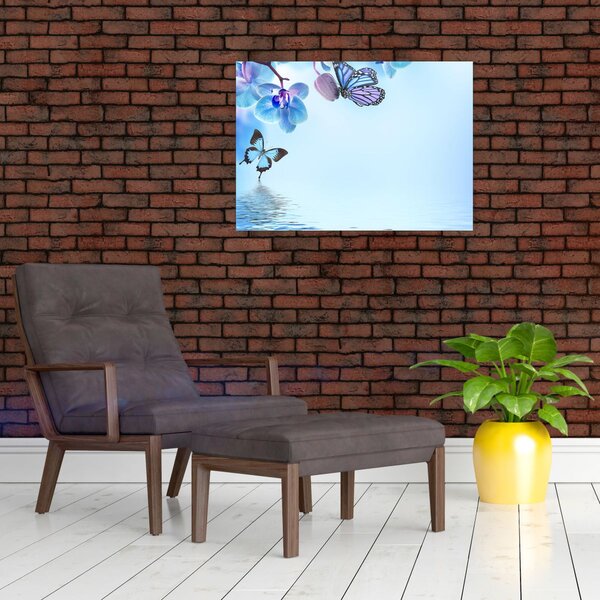 Kép - Pillangó orchidea virágon, kék (70x50 cm)