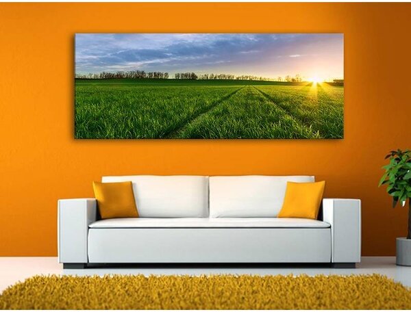 70x40 cm - Napsütéses rét vászonkép