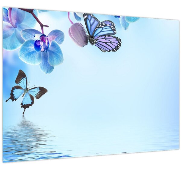 Kép - Pillangó orchidea virágon, kék (70x50 cm)
