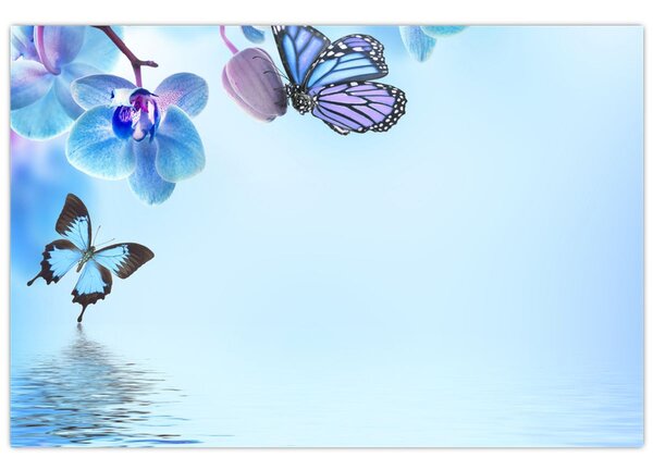 Kép - Pillangó orchidea virágon, kék (90x60 cm)
