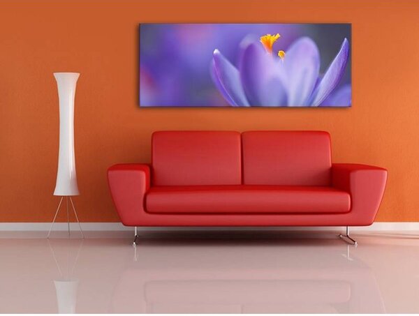 70x40 cm - Spring crocus virág vászonkép