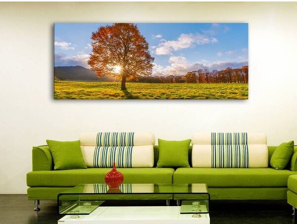 70x40 cm - őszi napfény vászonkép
