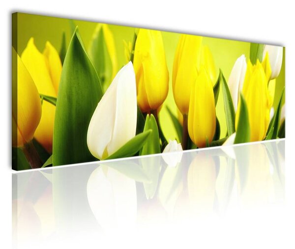 70x40 cm - Játékos színes tulipánok vászonkép