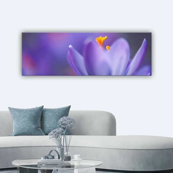 70x40 cm - Spring crocus virág vászonkép