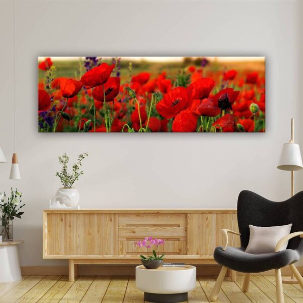 70x40 cm - Vörös pipacs mező vászonkép
