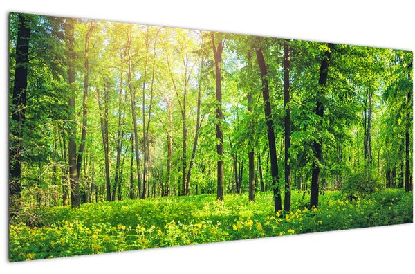 Kép - Tavaszi lomberdő (120x50 cm)