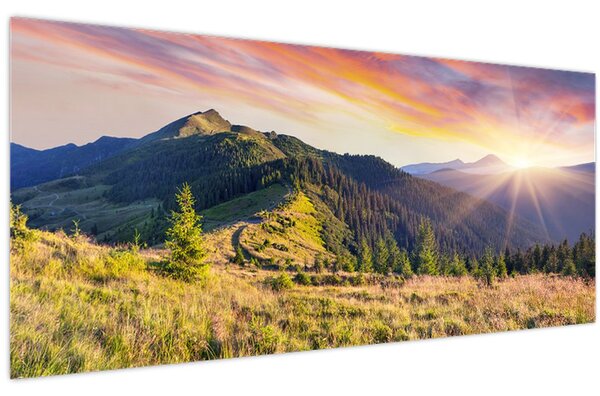 Kép - Erdei táj (120x50 cm)