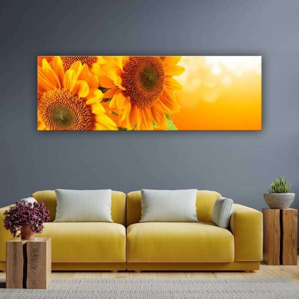 70x40 cm - Sárga napraforgó vászonkép