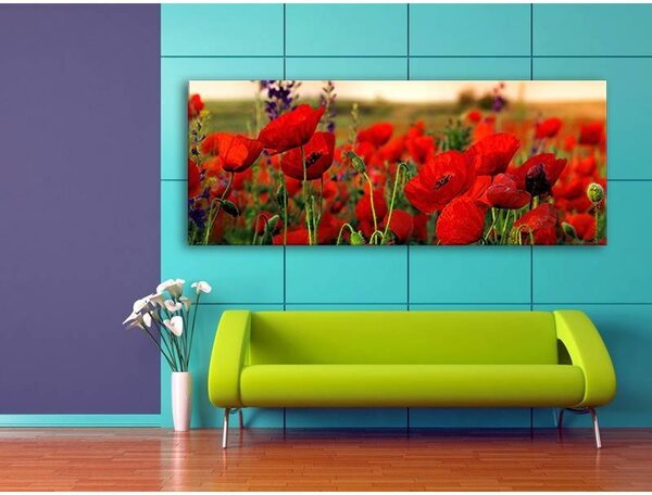 70x40 cm - Vörös pipacs mező vászonkép