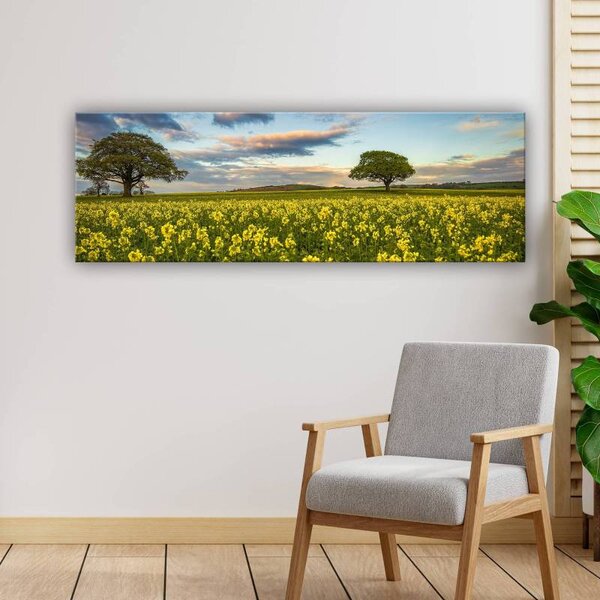 70x40 cm - Repce mezők vászonkép