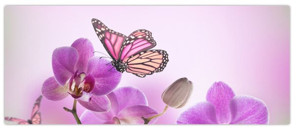Kép - Pillangó orchidea virágon, lila (120x50 cm)