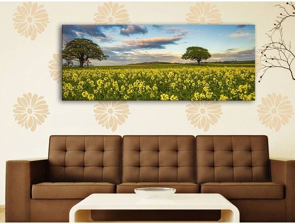 70x40 cm - Repce mezők vászonkép