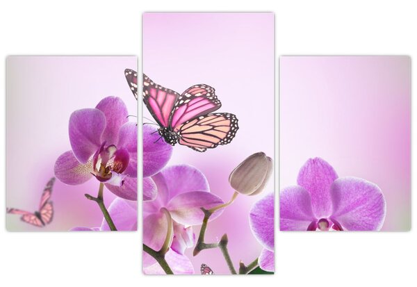Kép - Pillangó orchidea virágon, lila (90x60 cm)