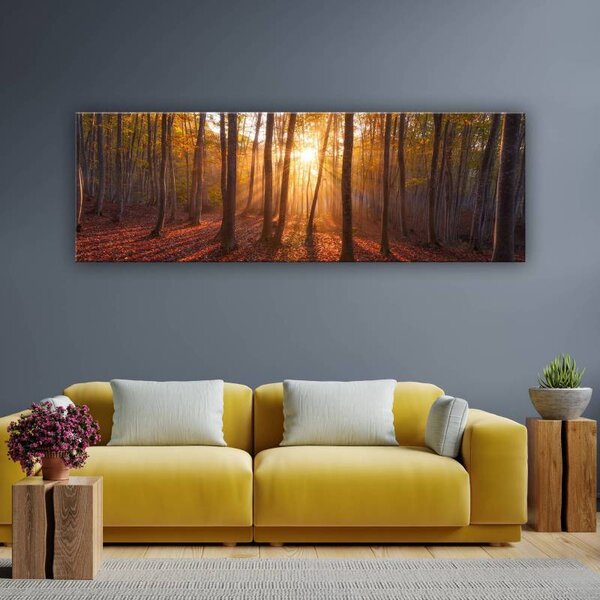 70x40 cm - Fák és fények vászonkép