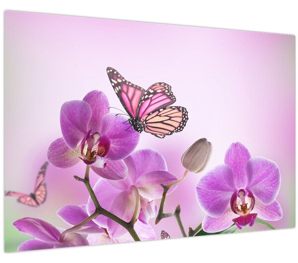Kép - Pillangó orchidea virágon, lila (90x60 cm)