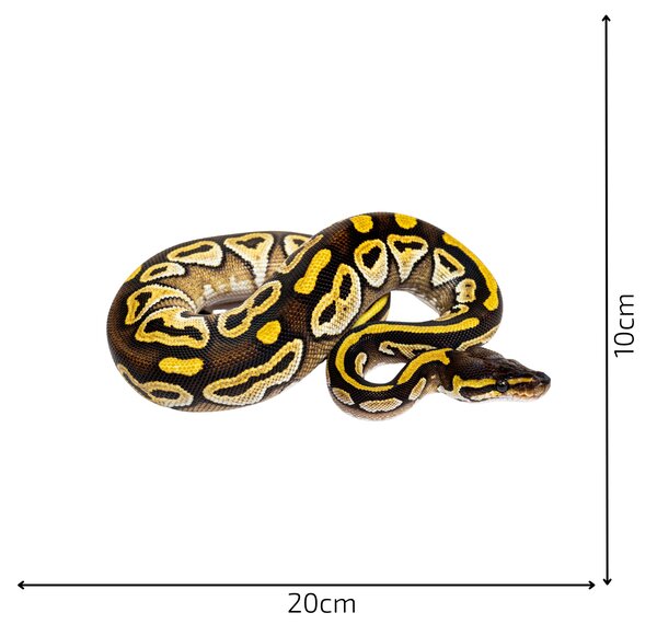 PIPPER. Textil matrica bútorokhoz "Igazi állatok"