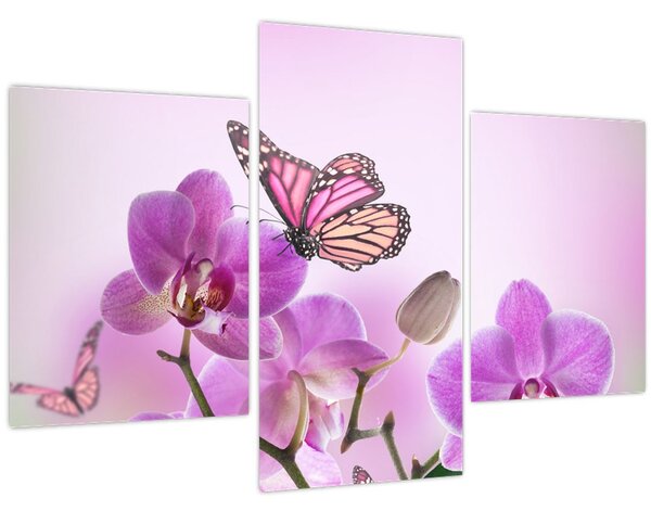 Kép - Pillangó orchidea virágon, lila (90x60 cm)
