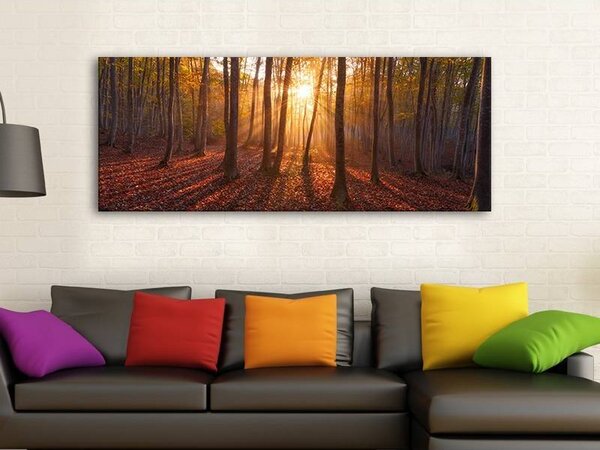 70x40 cm - Fák és fények vászonkép