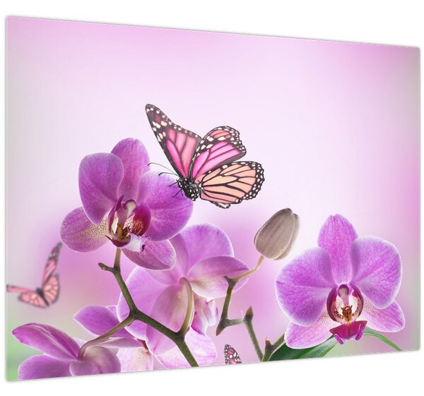 Kép - Pillangó orchidea virágon, lila (70x50 cm)