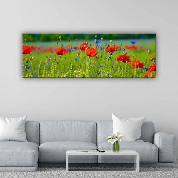 70x40 cm - Kék és piros virágok vászonkép