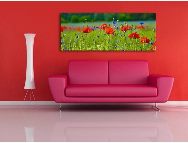 70x40 cm - Kék és piros virágok vászonkép