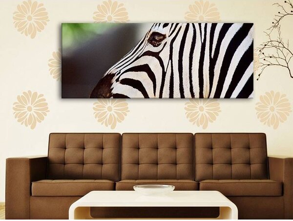 70x40 cm - Zebra mintás vászonkép