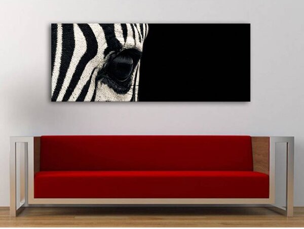 70x40 cm - Fekete és fehér zebra vászonkép