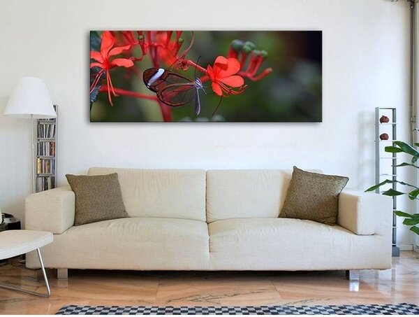 70x40 cm - Gyönyörű pillangó vászonkép