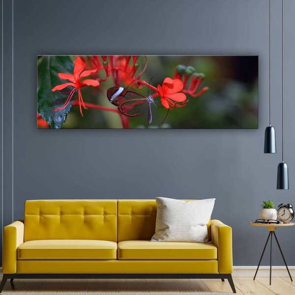 70x40 cm - Gyönyörű pillangó vászonkép