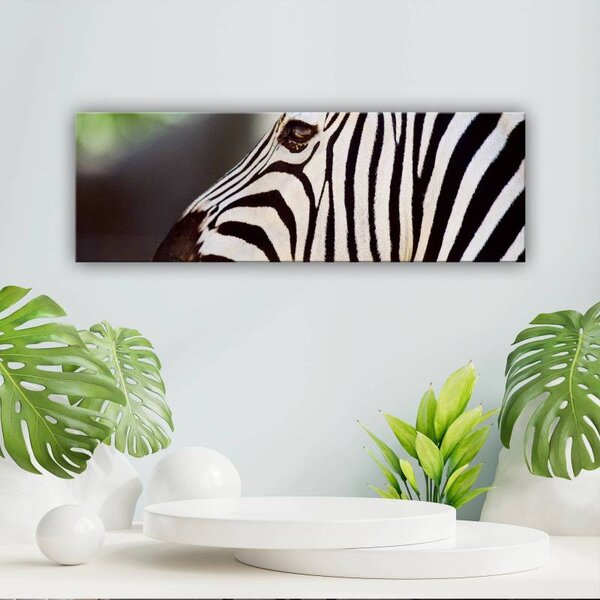 70x40 cm - Zebra mintás vászonkép