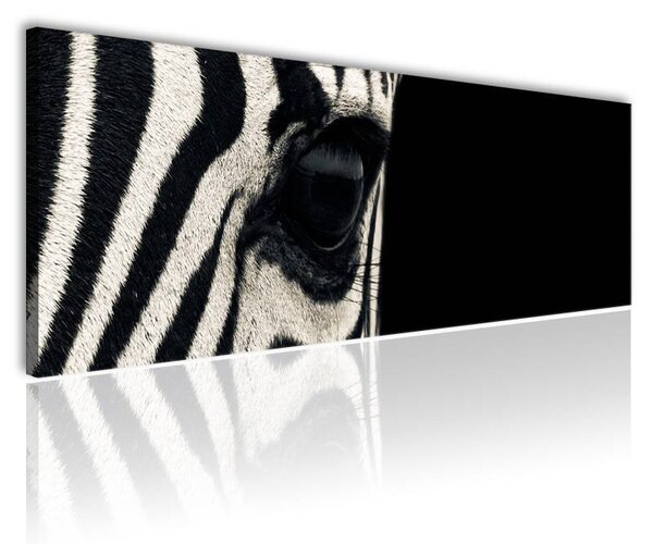 70x40 cm - Fekete és fehér zebra vászonkép