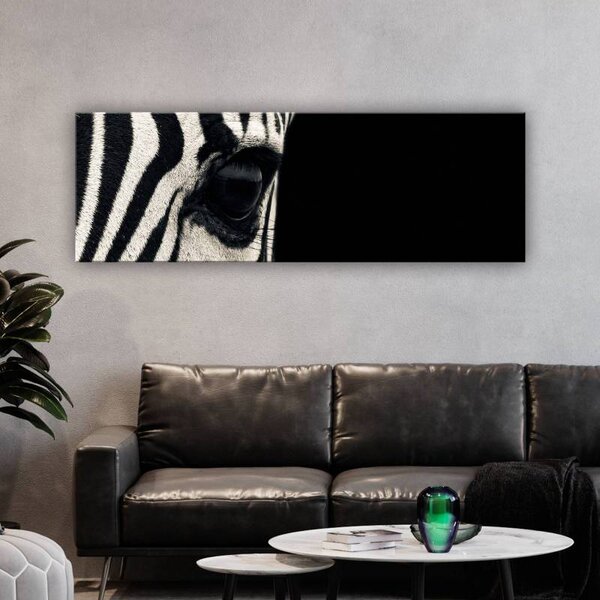 70x40 cm - Fekete és fehér zebra vászonkép